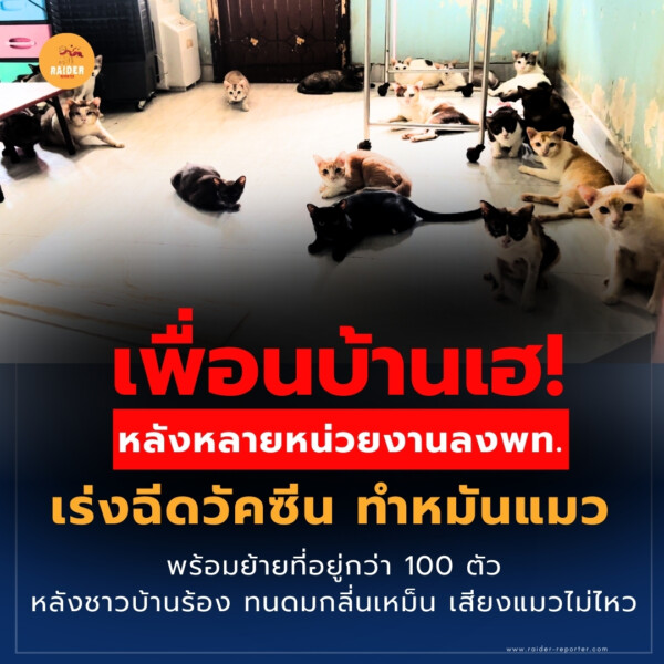 Raider-Reporter.com ข่าวไรเดอร์รีพอร์ตเตอร์ เกาะติดข่าวล่าสุด ทุกเหตุการณ์ ข่าวสังคมการเมือง ข่าวอาชญากรรม ข่าวด่วนวันนี้